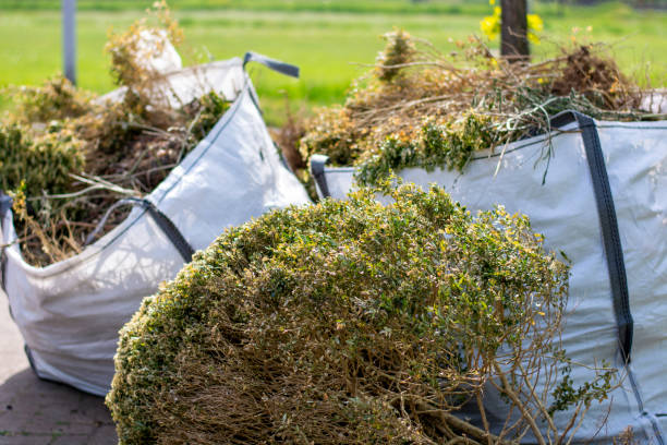 Best Professional Junk Removal  in Daytona Beach, FL